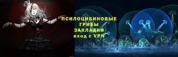 шишки Протвино