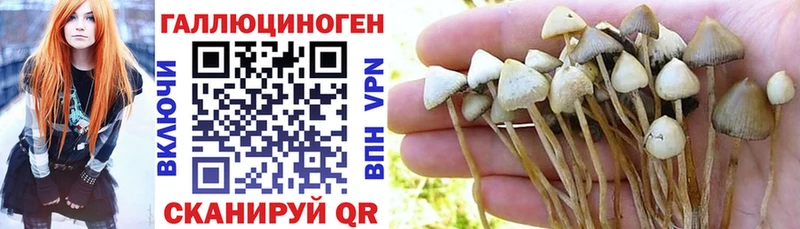 где найти наркотики  Кувандык  Галлюциногенные грибы прущие грибы 