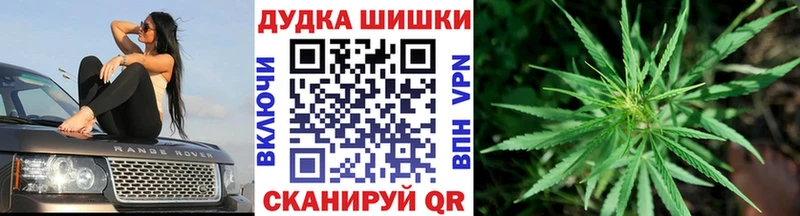цены   Кувандык  Марихуана сатива 